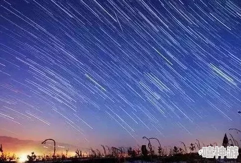 星空无限传媒 尊龙凯时人生就是搏官网：全新平台上线，带你领略无尽的创意与视听盛宴，开启属于你的传媒之旅！